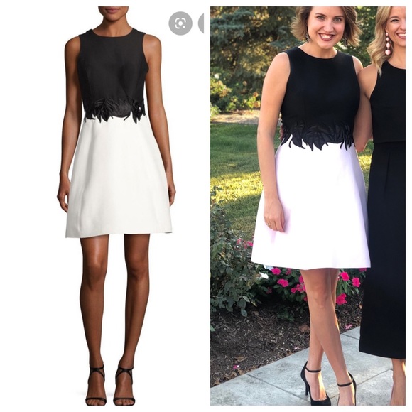 Halston Heritage Dresses & Skirts - Halston Heritage Lavender & Black mesh panel Sz. 6